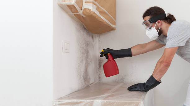 Professional Mold Removal technician working in Clarksville, TX