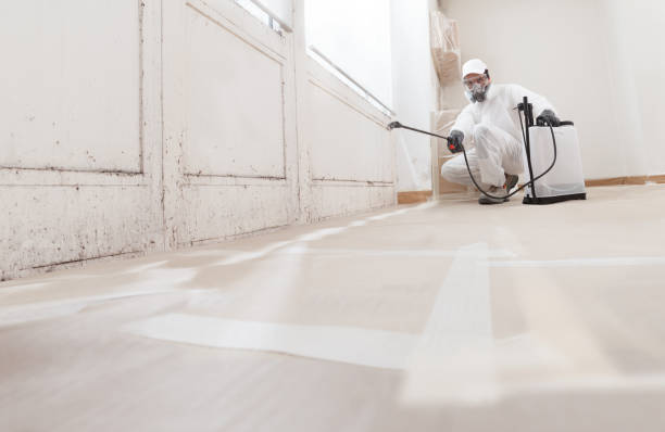 24/7 Emergency Mold Removal experts in Clarksville, TX